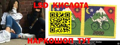 дмт Краснодар