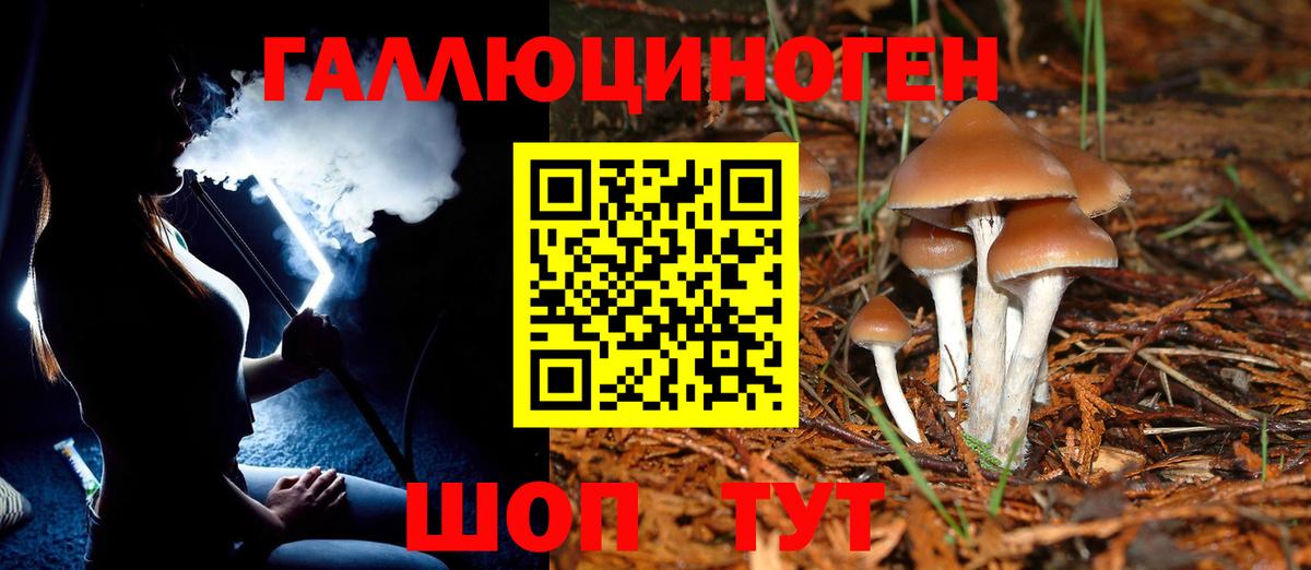 Псилоцибиновые грибы Psilocybe  Вход с VPN  Донецк 