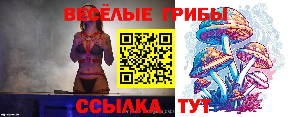 Галлюциногенные грибы MAGIC MUSHROOMS Донецк