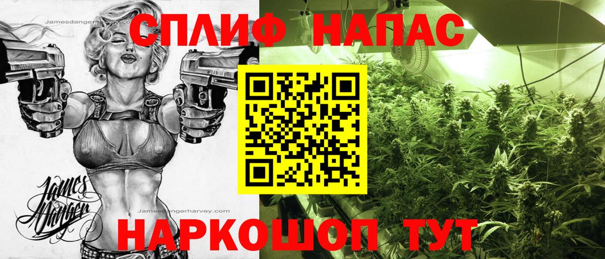 Конопля OG Kush Донецк